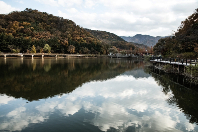 The sight of yellow Ginko tree leaves and fresh air felt healing for my tired body and mind. 