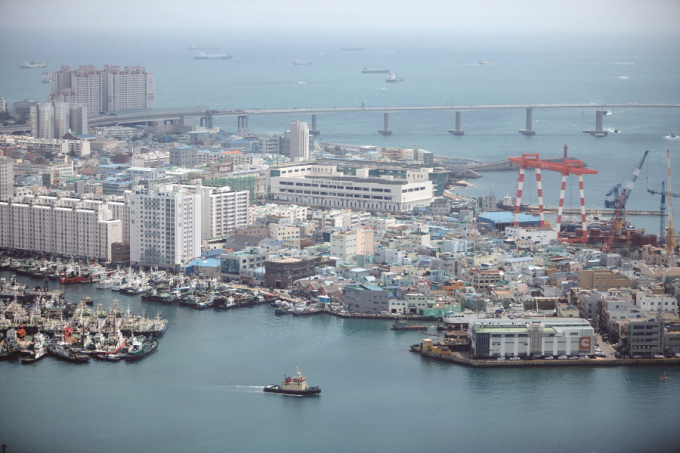 View from above: Jagalchi Market and the sea as seen from Busan Tower 