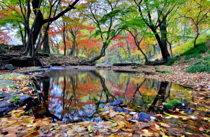 Seonunsan Mountain boasts beautiful colors in all four seasons.