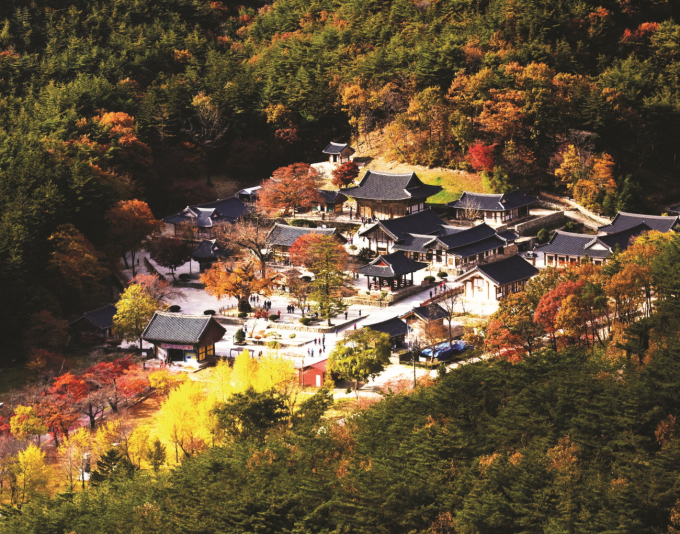 Naesosa is visited by people from all over the country who come to see the famous fir tree road and the Daeungbojeon Hall which was built without using a single nail. 