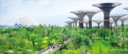 Biophilic, planterior design emerge as new trends for millennials