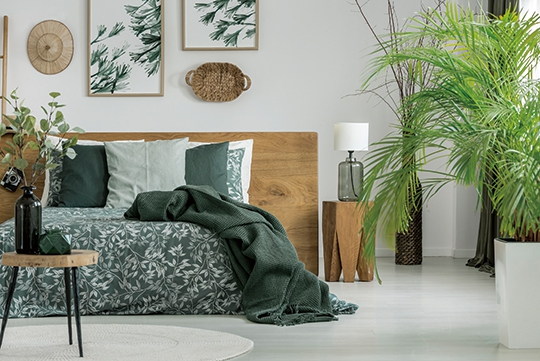 Biophilic, planterior design emerge as new trends for millennials