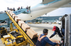 South Korean airlines convert passenger jets into cargo carriers