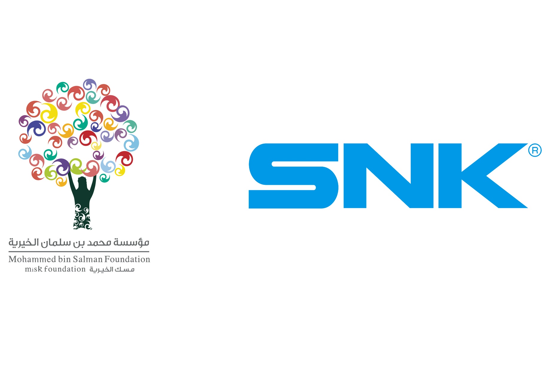 Snk corporation проекты