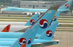 Hahn & Co finances $700 mn Korean Air deal with about $400 mn debt