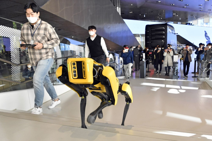 Spot　walks　up　the　stairs　at　Hyundai　Motor　Studio　Dec.　17.