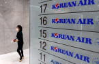 Korean Air wins shareholders' approval for Asiana deal
