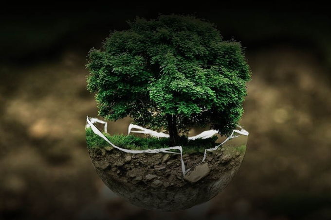 Korea requires major companies to disclose ESG activities from 2025