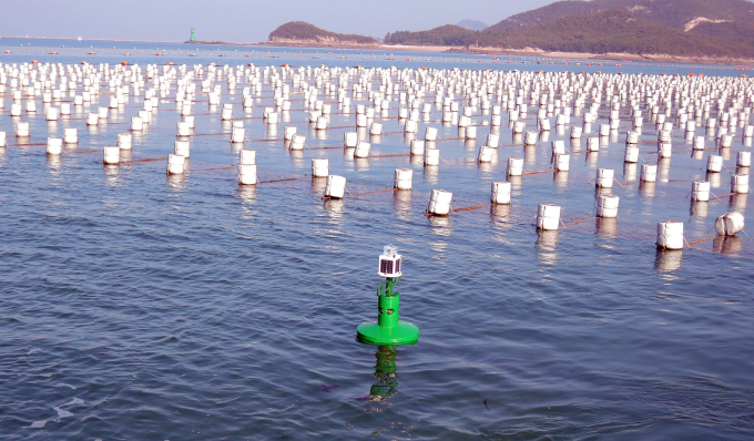 Debris　from　styrofoam　buoys　are　a　main　culprit　of　marine　garbage. 