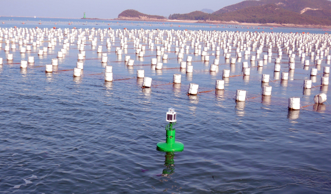 Debris from styrofoam buoys are a main culprit of marine garbage.
