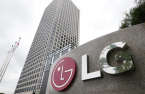 LG Chem's bond issue raises over $2 bn in demand