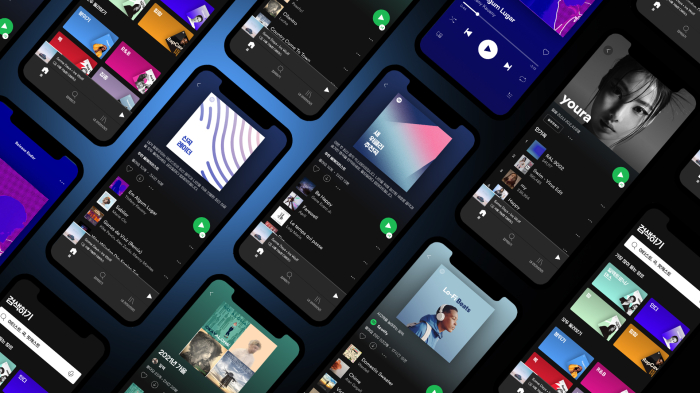Spotify, the world's top music streaming service