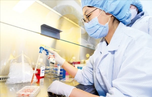 Genexine's researcher is culturing cells in a lab