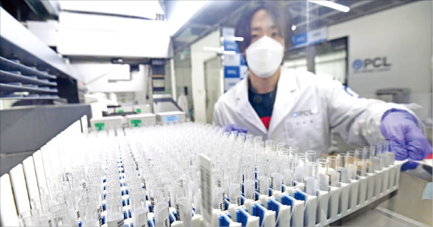 PCL's researcher inspecting the COVID-19 testing process.