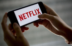 Netflix loses first court case over network usage fee