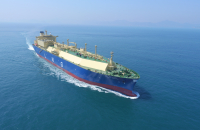 IMM puts Hyundai LNG Shipping on sale