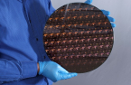China, Japan, Korea race for wafer capacity expansion