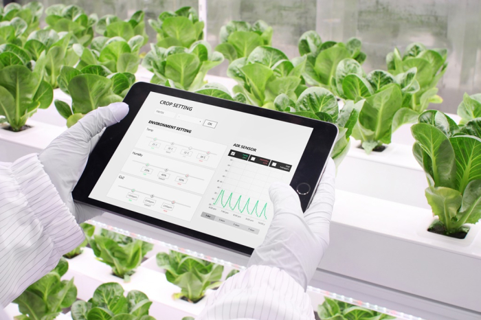 A　researcher　at　South　Korea’s　AgTech　startup　n.thing　manages　temperature　and　humidity　in　a　vertical　farm　with　an　IT　device.　(Courtesy　of　n.thing)