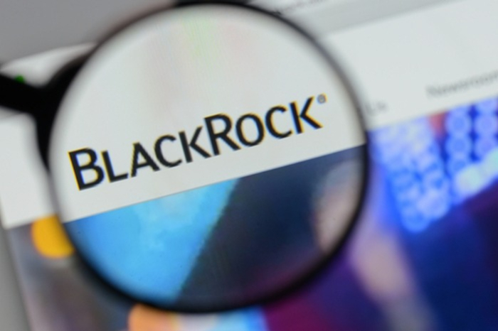 Two　Korean　LPs　invest　€90　mn　in　BlackRock's　infra　fund