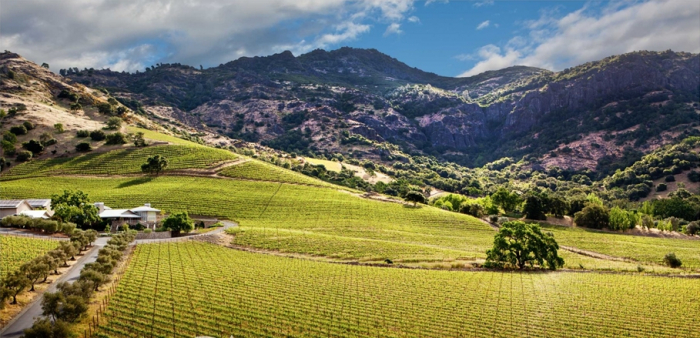 Shafer　Vineyards,　a　US　winery　in　Napa　Valley,　California