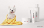 Skincare giant Cosmax adds pet care line 