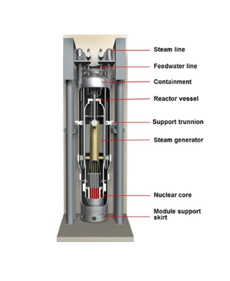 NuScale's　nuclear　power　module　(NPM)　design　(Courtesy　of　the　US　Nuclear　Regulatory　Commission)