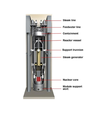 NuScale's nuclear power module (NPM) design (Courtesy of the US Nuclear Regulatory Commission)