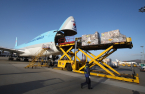 Korea’s major airlines continue to enjoy cargo boom