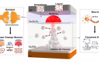 KAIST develops brain-like, large-scale memory system