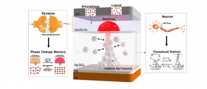 Simultaneous　emulation　of　neuronal　and　synaptic　properties　in　a　human　brain　(Courtesy　of　KAIST)