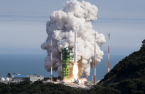 S.Korea ushers in new space era with rocket launch success