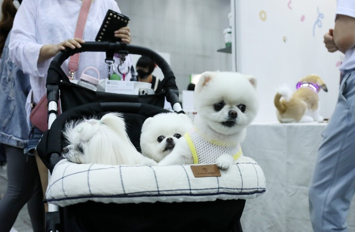 A　Korean　pet　fair　in　Ilsan,　Gyeonggi　Province,　in　May