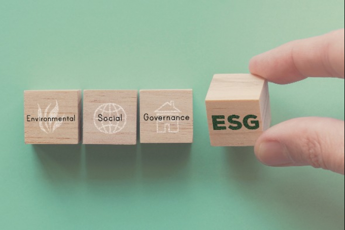 Wooden block of ESG (Courtesy of Getty Images)