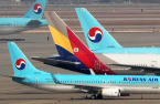 Korean Air, its white knight Naver close ranks in digital partnership