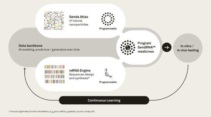 Visual　representation　of　how　Senda　Biosciences　works　according　to　its　website