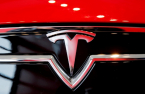 Tesla sweeps local EV subsidies as Korean firms at disadvantage in US