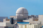 Korea wins $2.25 bn deal to build Egypt's 1st nuclear power plant