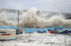 Shipyards, TV plants to shut down as typhoon lands on Korea 