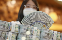 Korean won rebounds on estimated $2 bn intervention