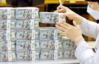 S.Korea cuts US Treasury holding by $18.9 bn in Jan-July