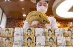 Select Korean companies seek to raise cash reserves