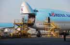 Korean Air soars with best quarterly results in its history