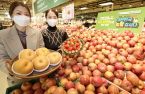 Korea's agro-food exports set record of $8 billion in 11 months this year