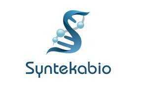 Syntekabio　launches　new　drug　development　platform　STB　Cloud　in　US　