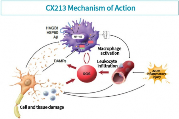 CENYX　Biotech,　developing　treatment　for　brain　damage　with　ROS-scavenging,　nano-sized　heavy　metals