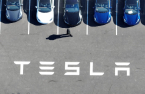 Koreans buy $2.7 billion Tesla shares this year, favorite foreign stock