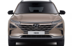 Hyundai's Nexo keeps 1st place in hydrogen car market beating Toyota  
