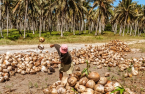 POSCO to enter palm oil refining market in Indonesia