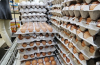 S.Korea resumes egg imports in 13 months due to soaring prices 