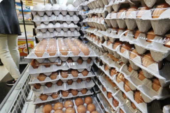S.Korea　resumes　egg　imports　in　13　months　due　to　soaring　prices　